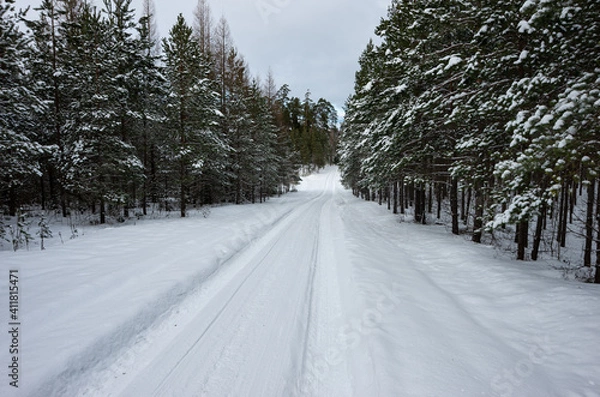 Fototapeta Winter with a lot of snow, forest with a road