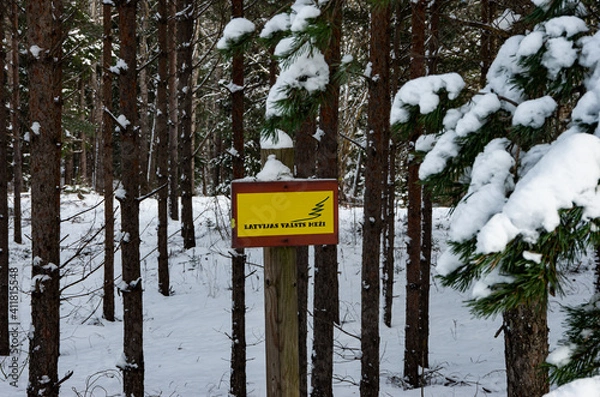 Fototapeta "Latvija Valsts Mezi" Latvian state forests, in winter with a lot of snow