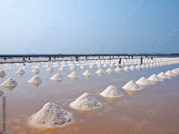 Obraz Salt pan
