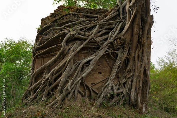 Fototapeta  Ruins of   goal kampong tom Wat Temple with root of trees in forest