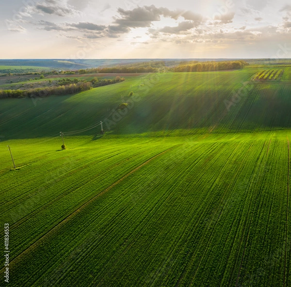 Fototapeta Aerial view of beautiful countryside with green rolling field in golden hour before sunset..