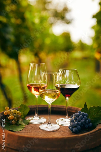 Obraz Three glasses of wine on an old wooden barrel