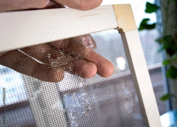Obraz torn mosquito net for the window.