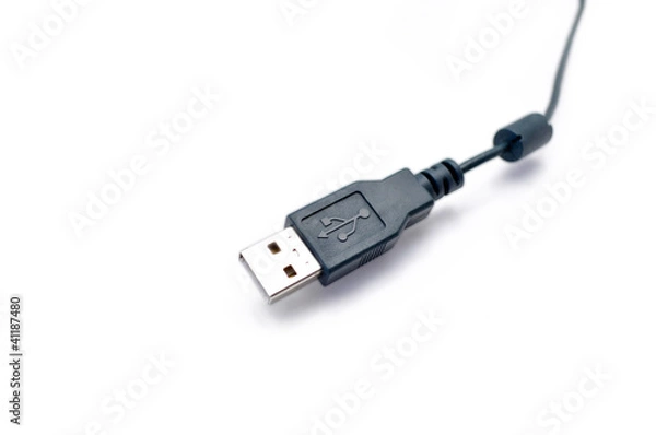 Fototapeta Universal USB