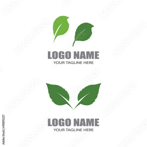 Fototapeta Logos of green Tree leaf ecology