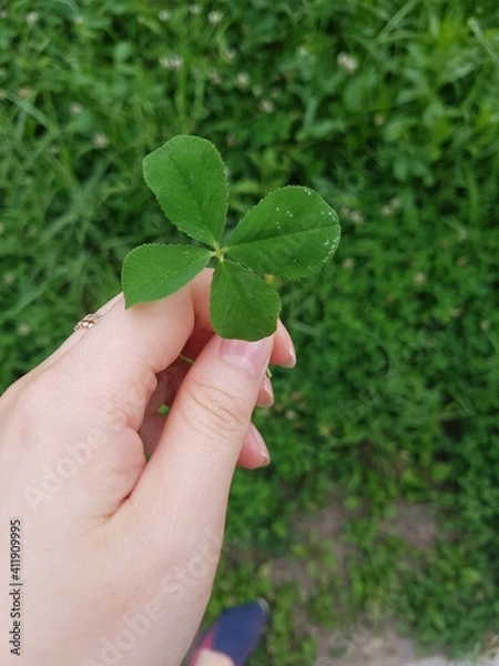 Obraz The luck I found