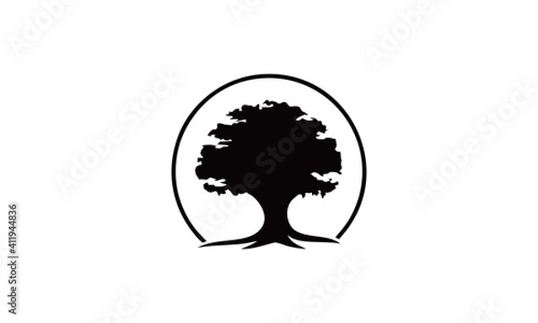 Obraz oak tree logo design inspirations vector stock