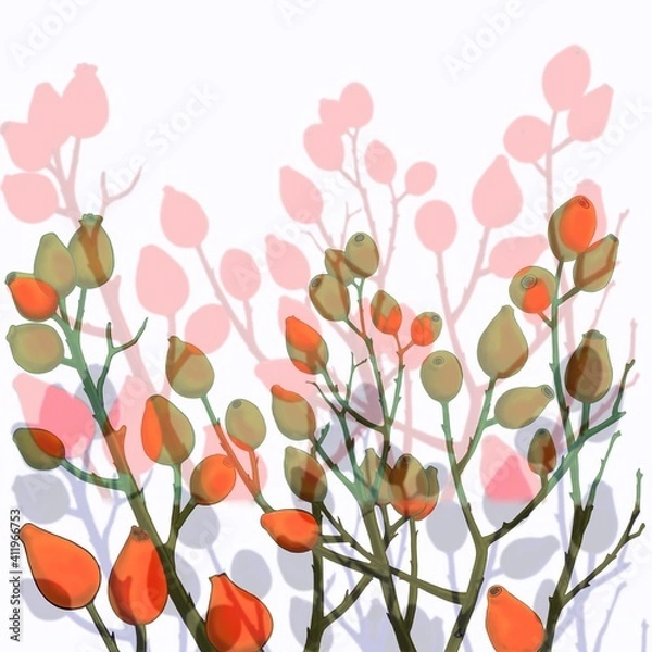 Obraz Rosehip branches. Background. Digital illustration.