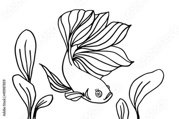 Fototapeta Fish and algae in the water. Aquarium. Can be used for coloring book for kids. Vector illustration.