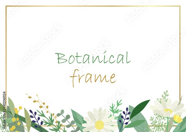 Fototapeta Botanical frame illustration. Invitation or greeting card templates (white background, vector, cut out)