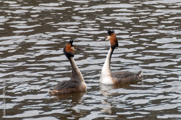 Fototapeta Mirror Image?