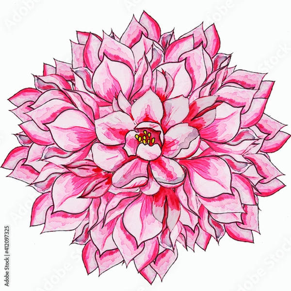 Fototapeta a bouquet of round pink flowers with a main flower in the center. spring, summer, light curved loaves of fabric. the view from the top looks like a wreath