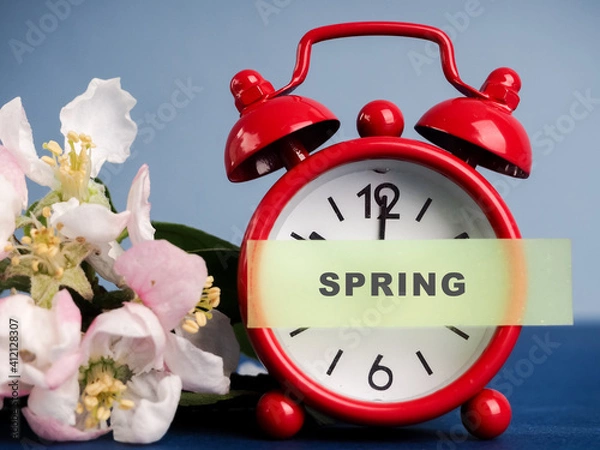 Fototapeta Alarm clock and beautiful spring flowers on blue table, space for text. Time change concept