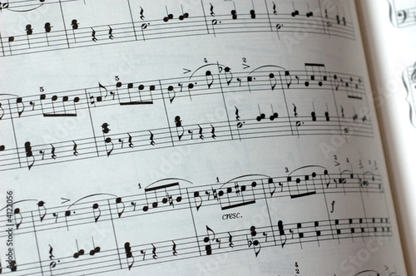 Fototapeta Music notes