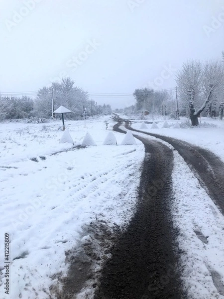 Obraz road in winter