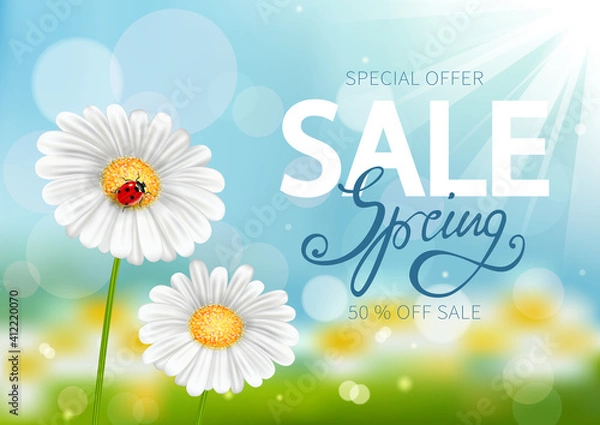Obraz Chamomiles with ladybug on spring blurred background, flower meadow with bokeh, sky and grass out of focus, spring sale, template for poster, banner, flyer, coupon and postcard.