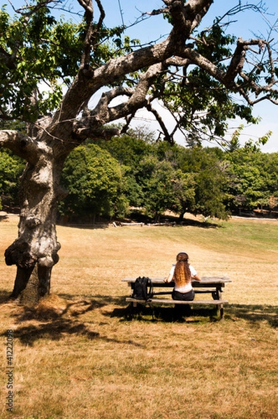 Obraz Pensieri all'aperto