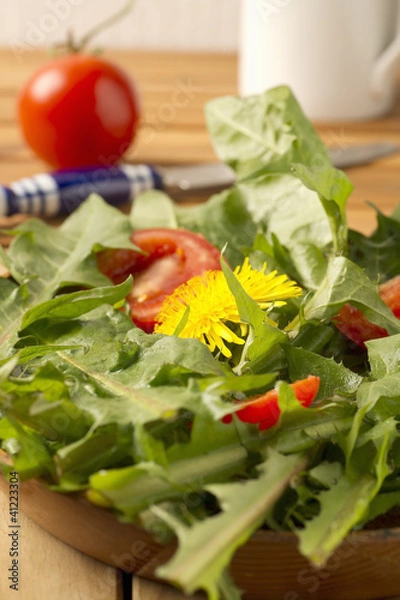 Obraz Löwenzahn mit Tomaten
