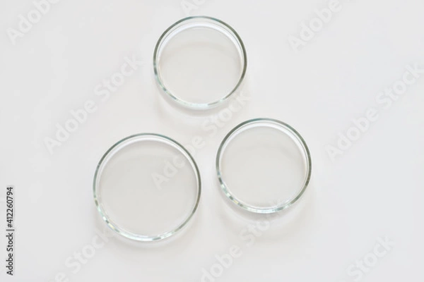Fototapeta three empty glass Petri dishes on a laboratory table. sterile lab dishes ready for tests. analysis and chemical experiment. cell culture growing equipment. top view.