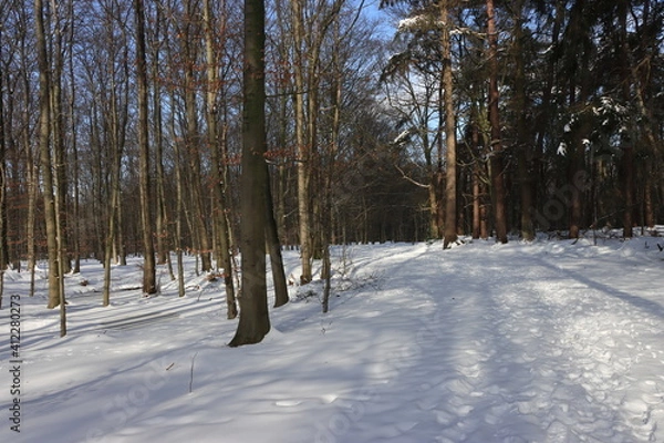 Fototapeta Traumhafte Winterlandschaft