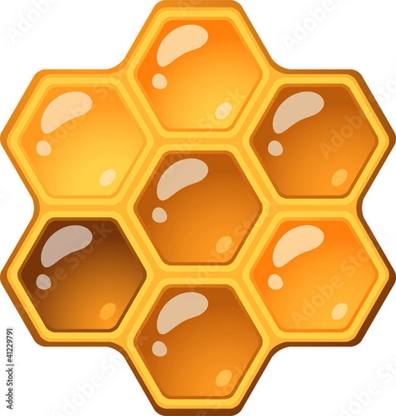 Obraz Honeycomb