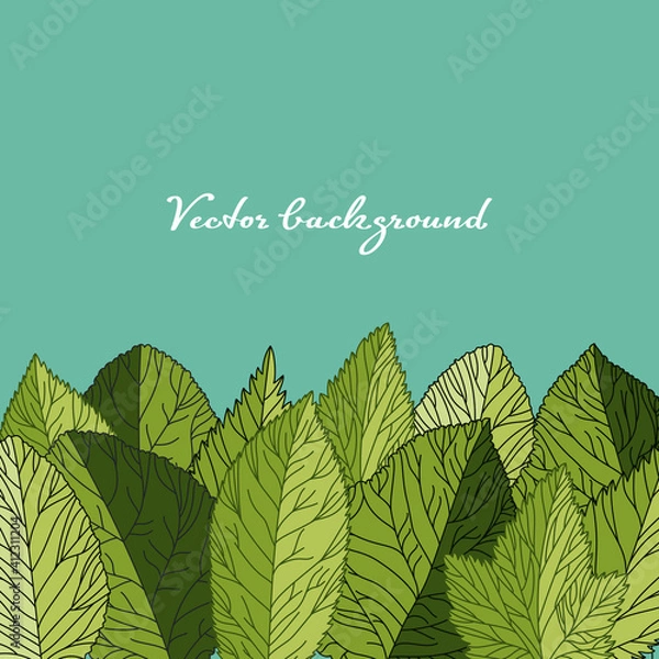Obraz green leaves background, botanical border element