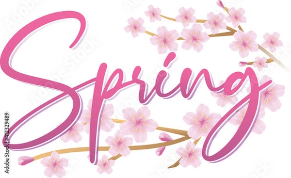 Fototapeta Spring Cherry Blossom Graphic