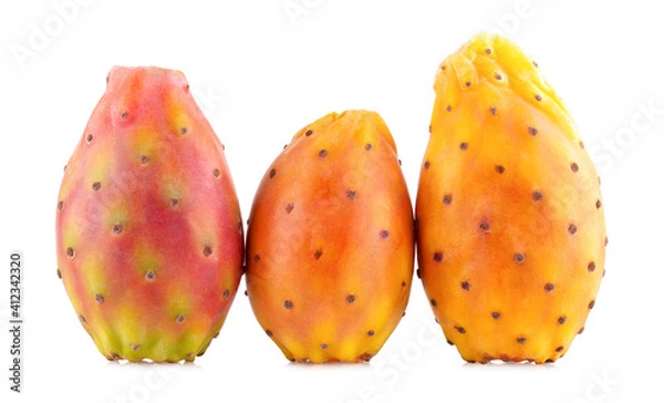 Obraz Prickly pears