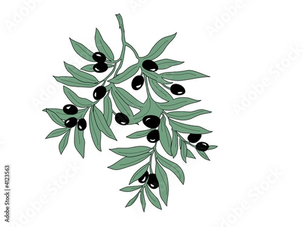 Obraz Gałązka oliwna