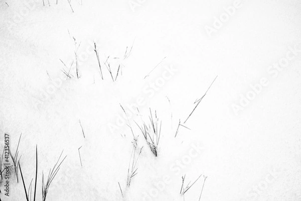 Obraz Real snow texture [bump map]
