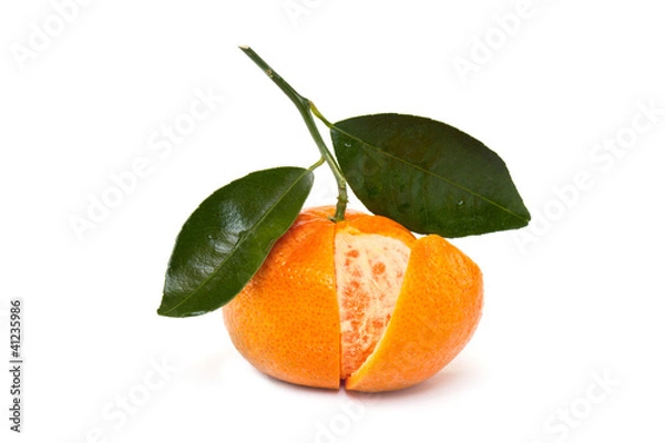 Fototapeta Mandarine