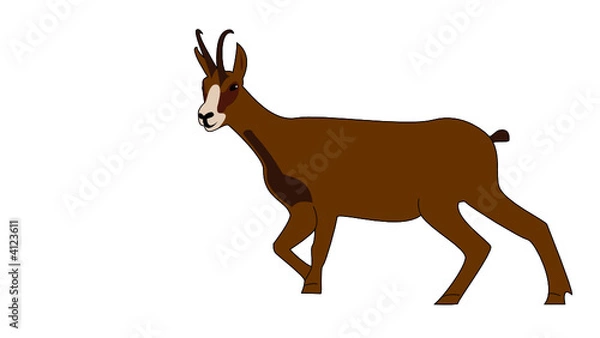 Obraz Chamois