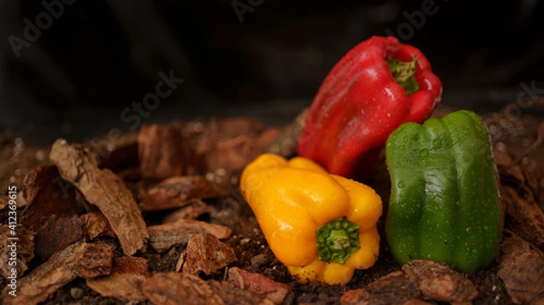 Obraz Bell peppers