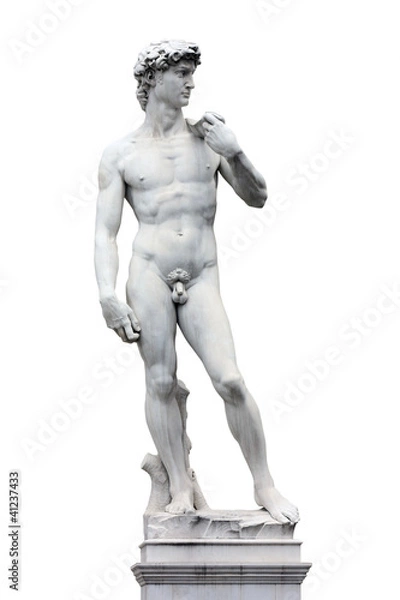 Obraz Florencja - Dawid Michała Anioła