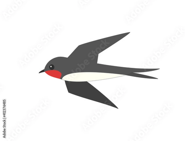 Fototapeta つばめ1　ツバメ　燕