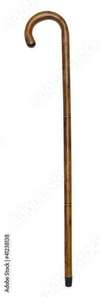 Obraz Laska na białym tle