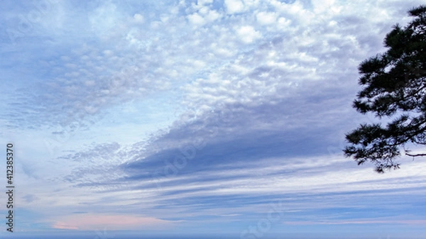Fototapeta sky with snow