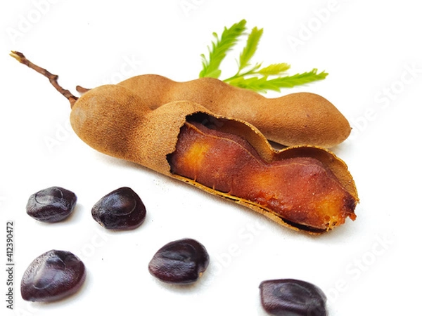 Obraz vegetables on a white background