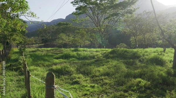 Obraz green landscape