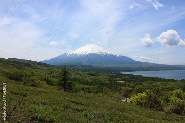 Fototapeta 山中湖と冨士山　　パノラマ台からの眺め。山中湖の東にある台地から、山中湖と富士山を一望する。春、手前の草原も緑に草が大地を彩る。