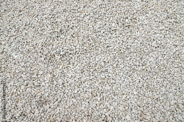 Obraz Background, texture of white crushed stone. Use for decorating garden plantings.