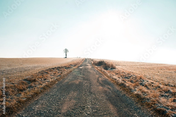 Fototapeta Road on a hill with a tree on horizon