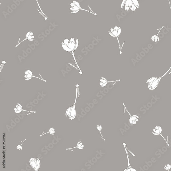Fototapeta Vector white crocus flowers repeat pattern background