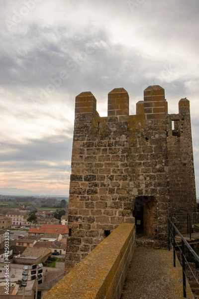 Obraz castle on a mountain
