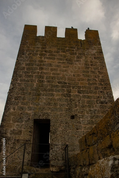 Obraz castle on a mountain
