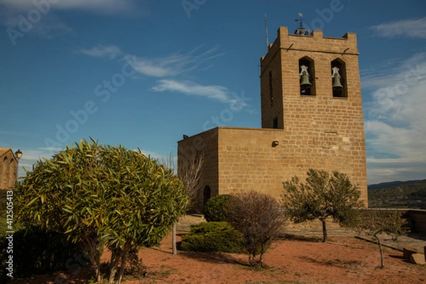 Obraz castle on a mountain
