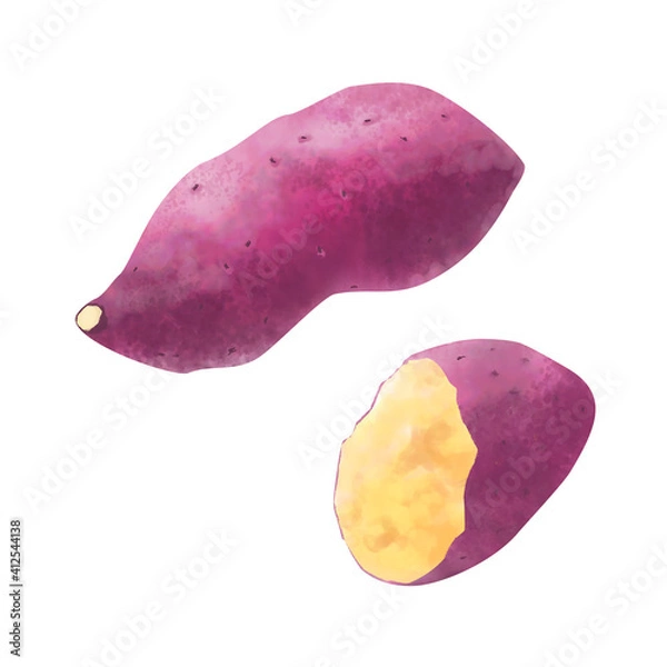 Fototapeta さつまいもの水彩イラスト