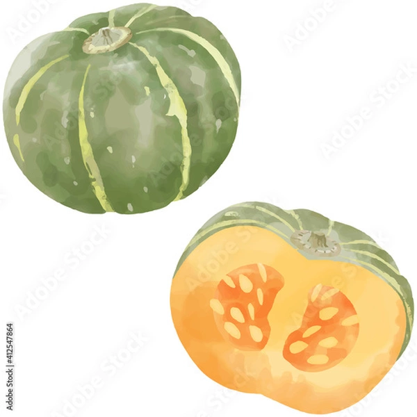 Fototapeta かぼちゃのベクター水彩イラスト