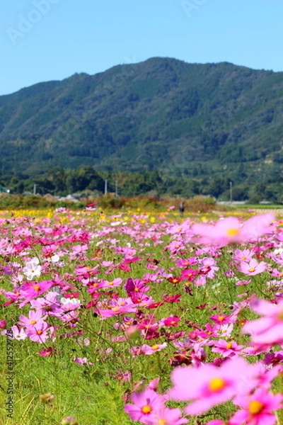 Obraz 土佐市出間　秋の風景　（高知県）