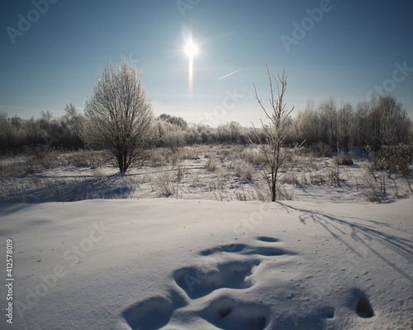 Obraz Winter flat landscape.After a cold night, the branches of the trees in the field are covered with frost. The background is blurry, boke. Traces of people, sunny sky, small and large plants are visible